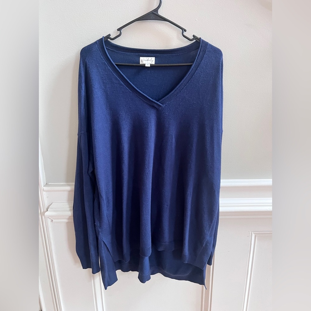 💙 Wonderly Fine Gauge V-Neck Sweater | Size M
